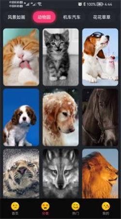 輕甜心手機(jī)版下載